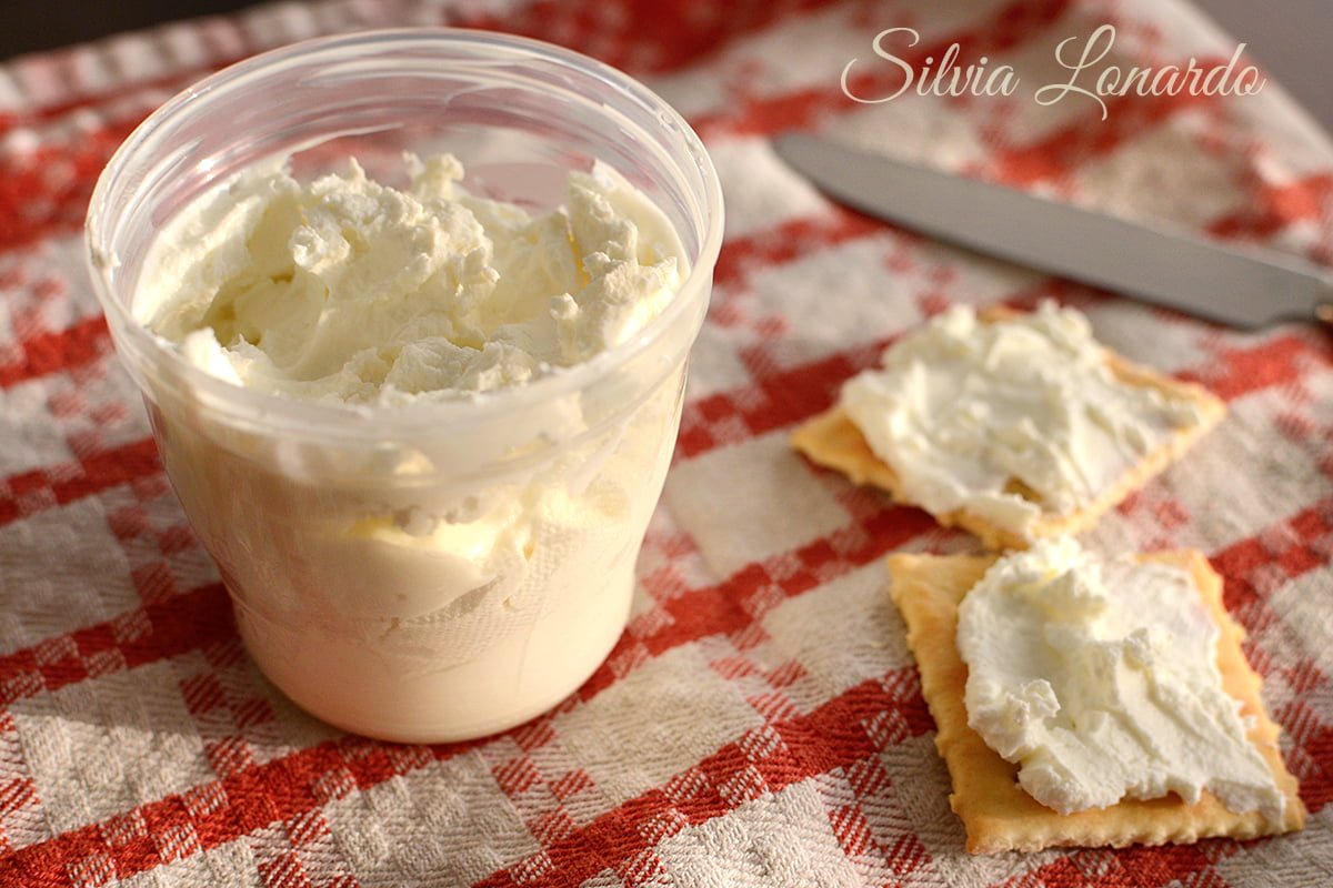 Labneh Ovvero Philadelphia Fatto In Casa Cose Da Mamme