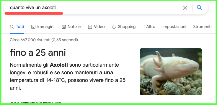 Mamma, voglio un Axolotl! - Cose da Mamme