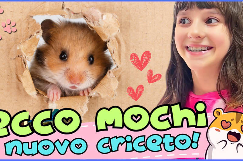 È arrivato Mochi! 🐹 Il criceto di Alyssa per il suo 12° compleanno